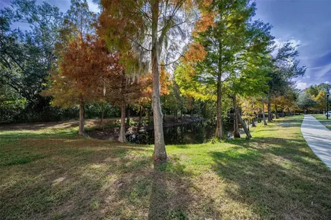 6942 Rocky Canyon Way Tampa FL 33625