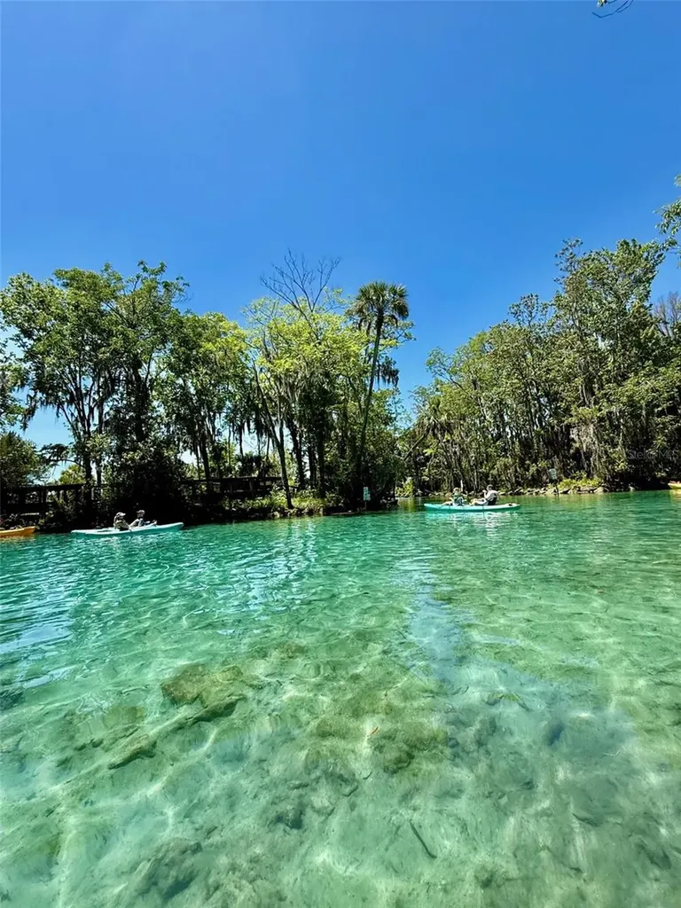 19439 SW 101st Place Road Dunnellon FL 34432
