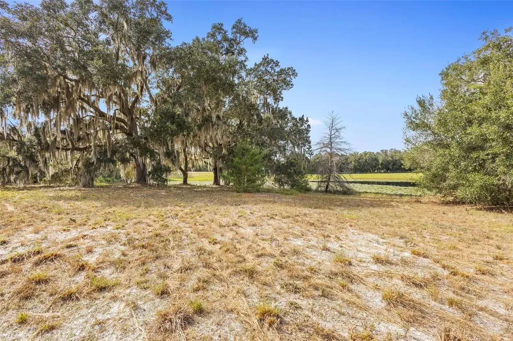 1499 Shady Meadow Lane Deland FL 32724