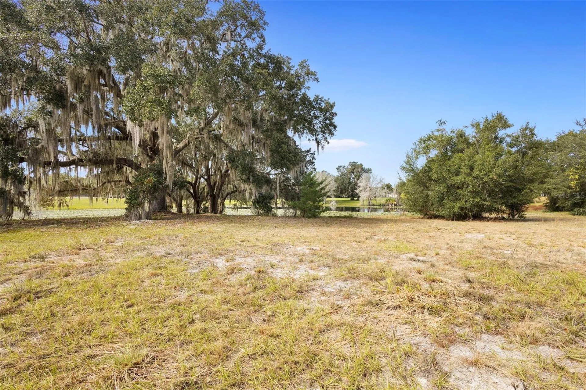 1499 Shady Meadow Lane Deland FL 32724