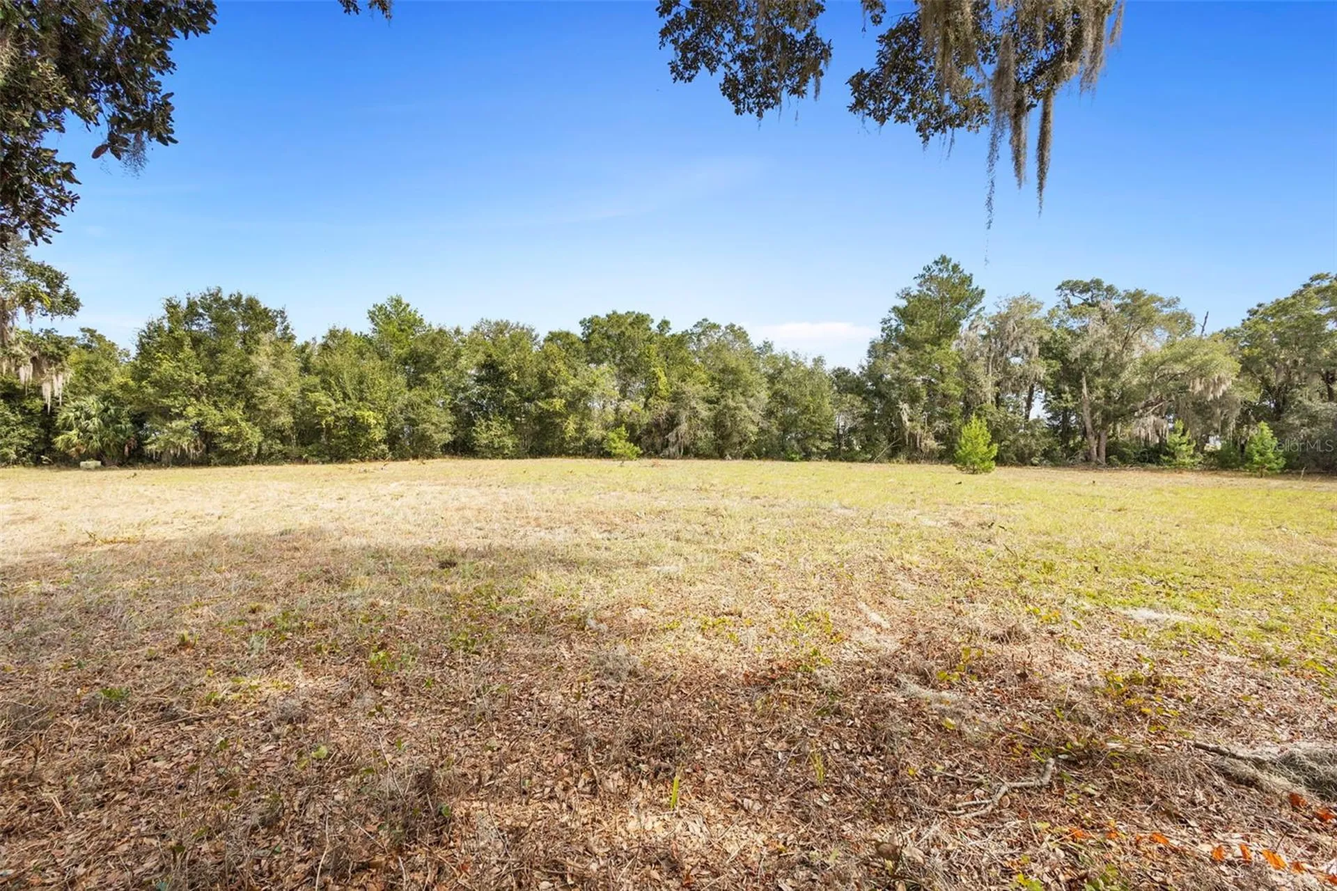 1499 Shady Meadow Lane Deland FL 32724