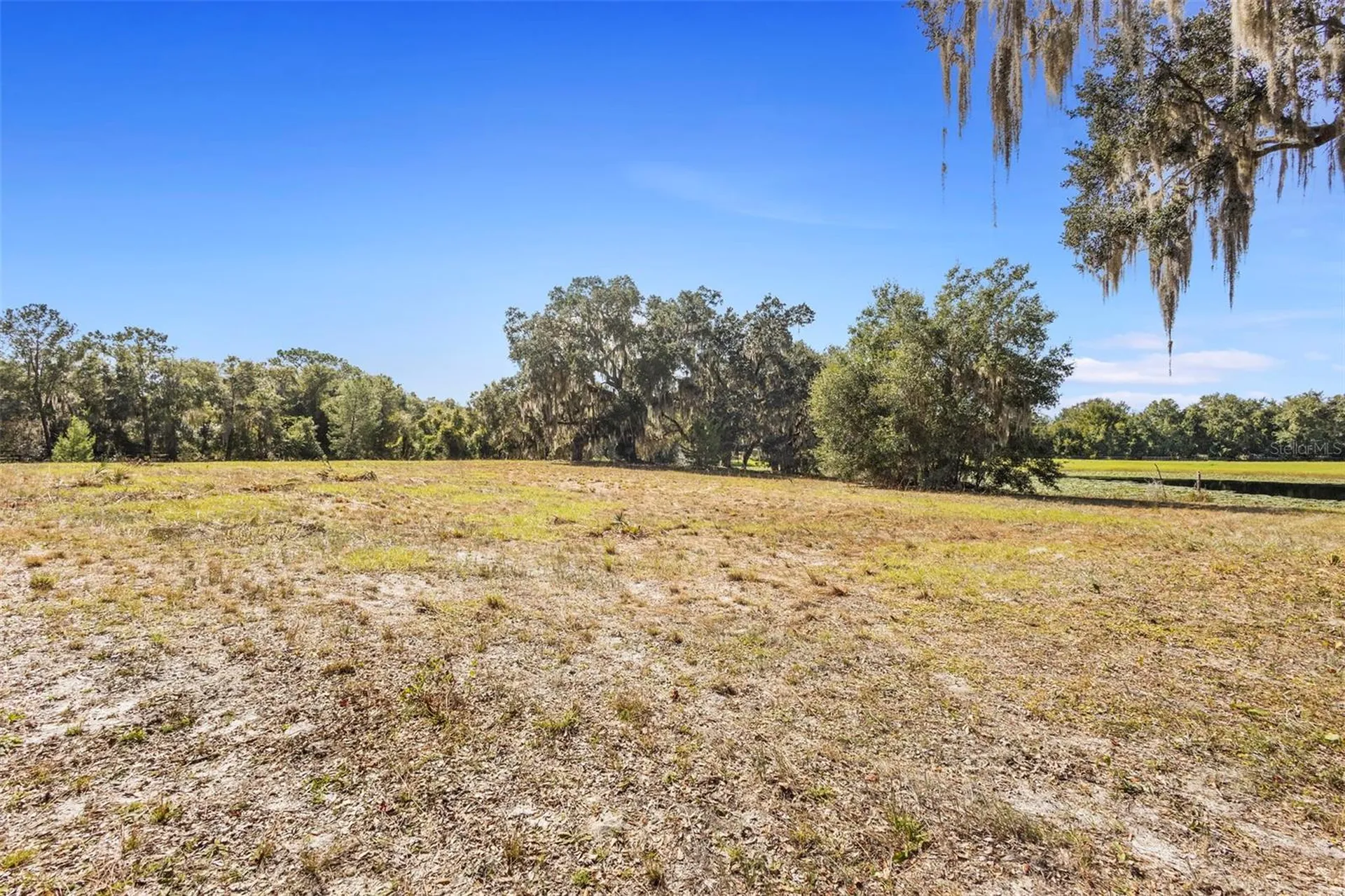 1499 Shady Meadow Lane Deland FL 32724