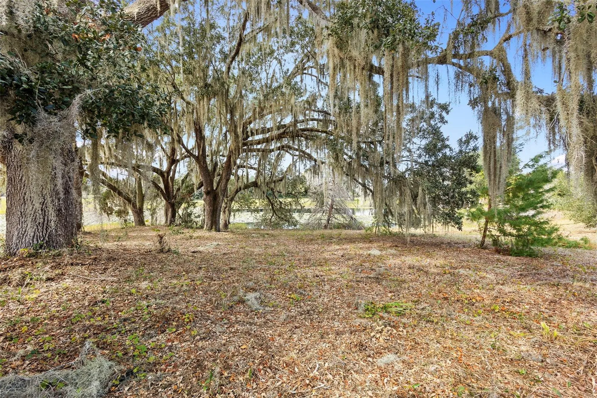 1499 Shady Meadow Lane Deland FL 32724