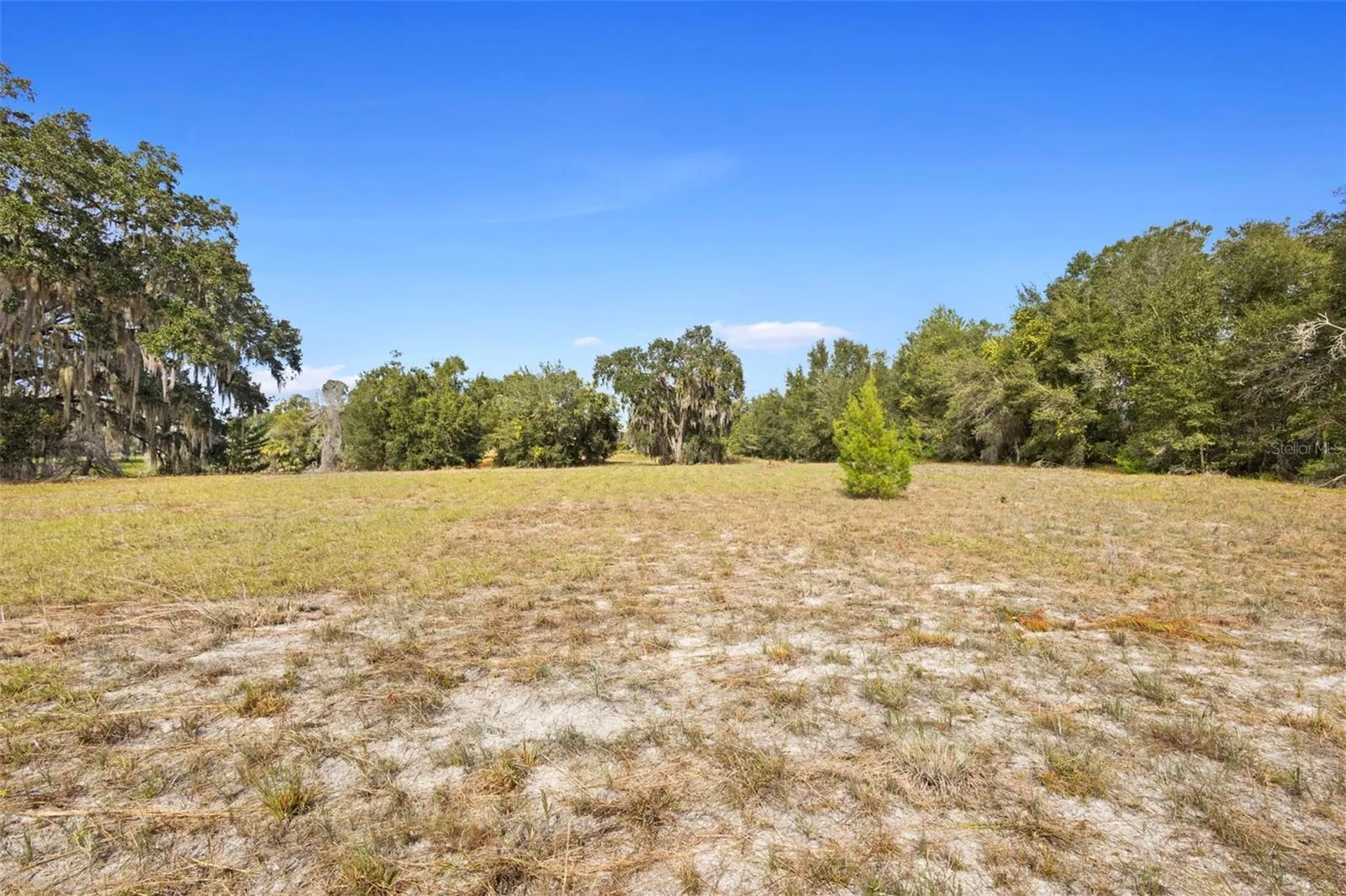1499 Shady Meadow Lane Deland FL 32724