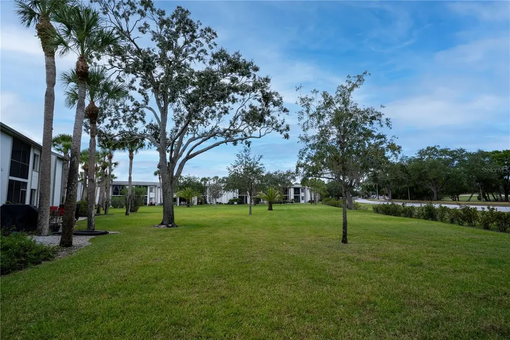 117 E Cypress Court Oldsmar FL 34677