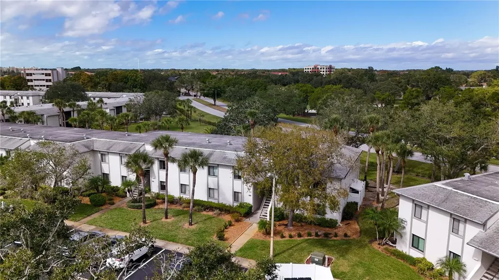117 E Cypress Court Oldsmar FL 34677