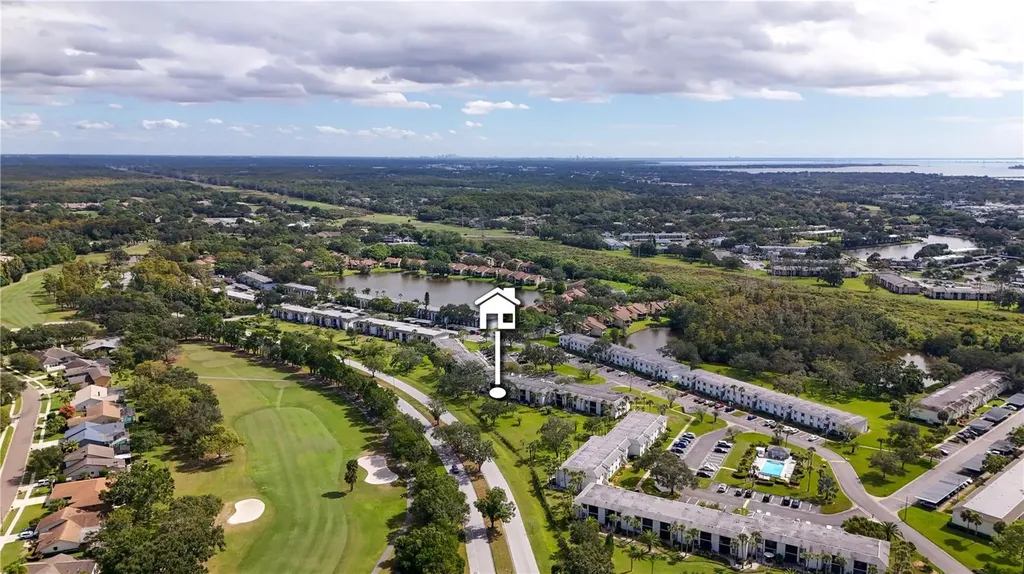 117 E Cypress Court Oldsmar FL 34677