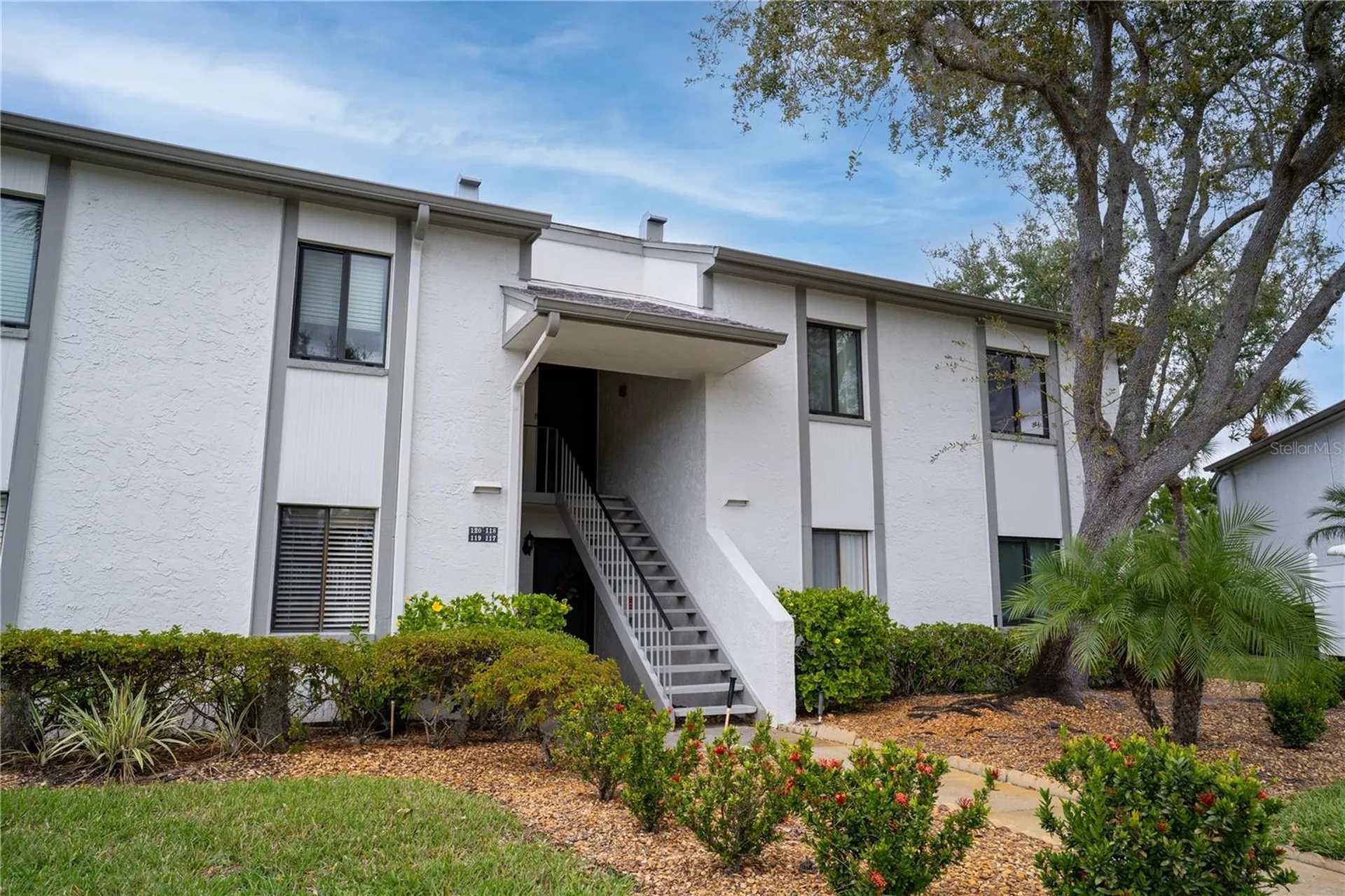 117 E Cypress Court Oldsmar FL 34677