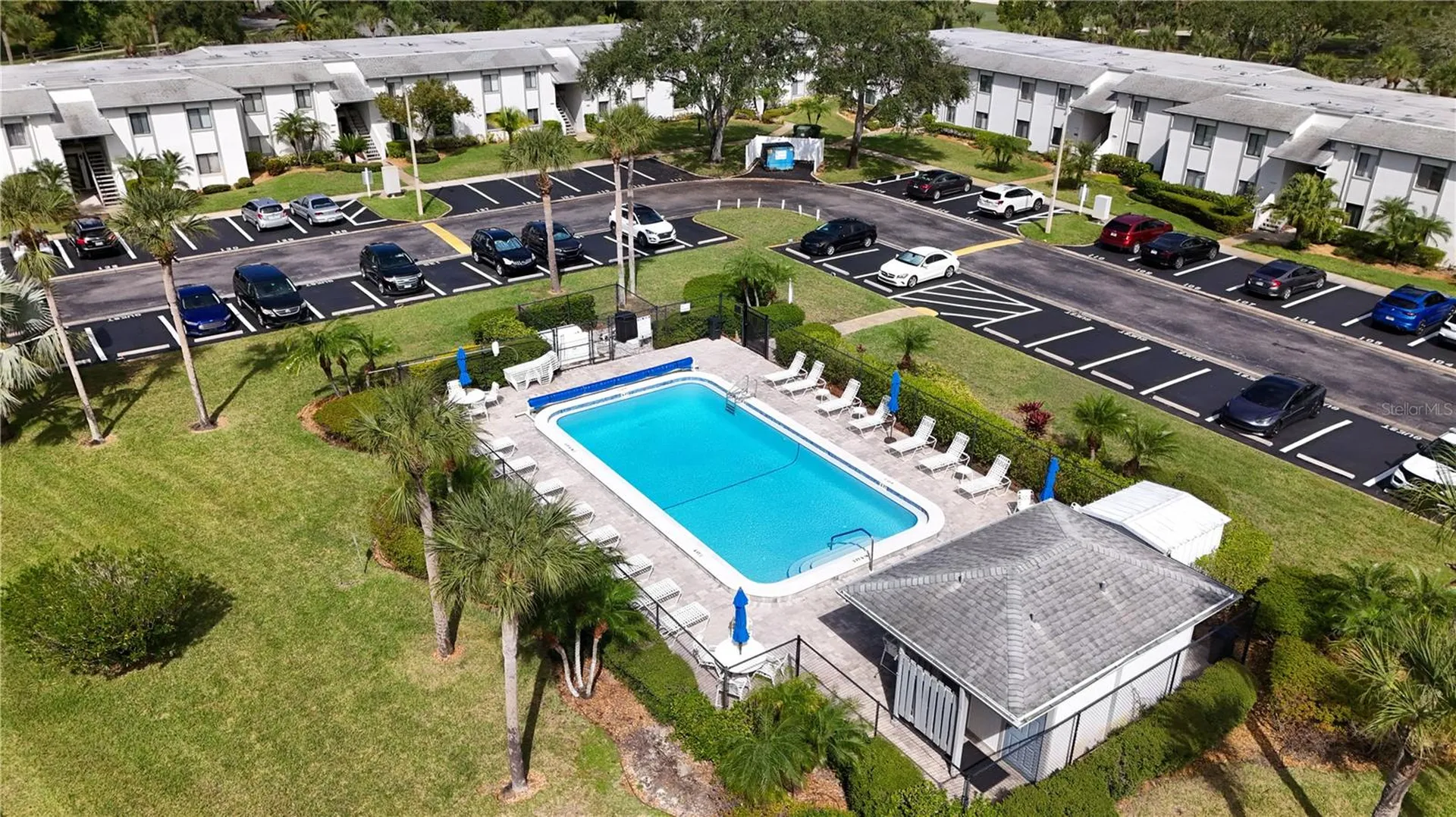 117 E Cypress Court Oldsmar FL 34677