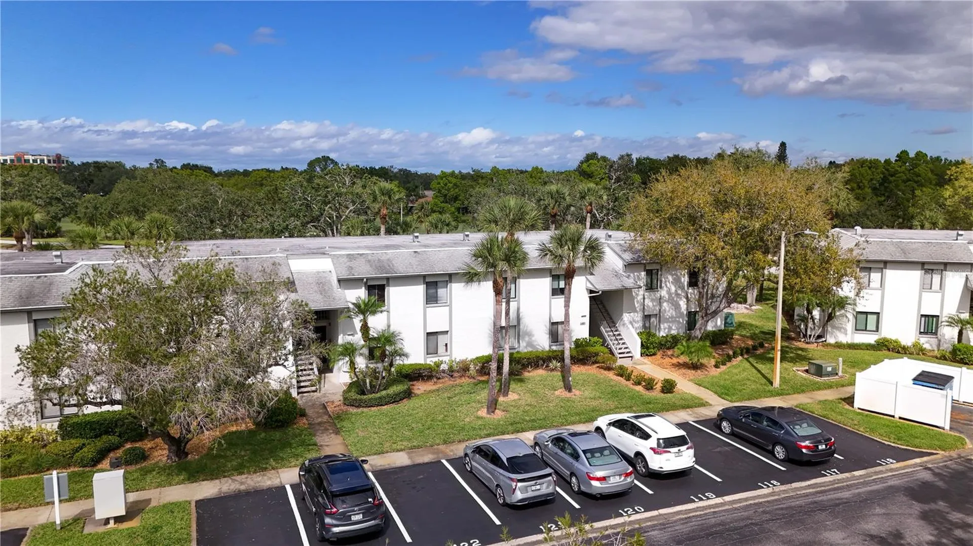 117 E Cypress Court Oldsmar FL 34677
