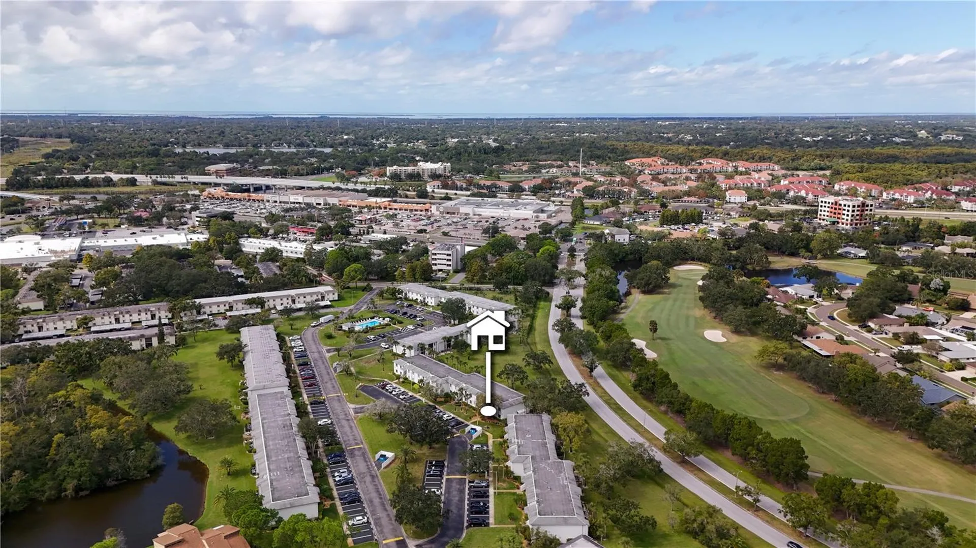117 E Cypress Court Oldsmar FL 34677