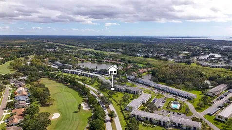 117 E Cypress Court Oldsmar FL 34677