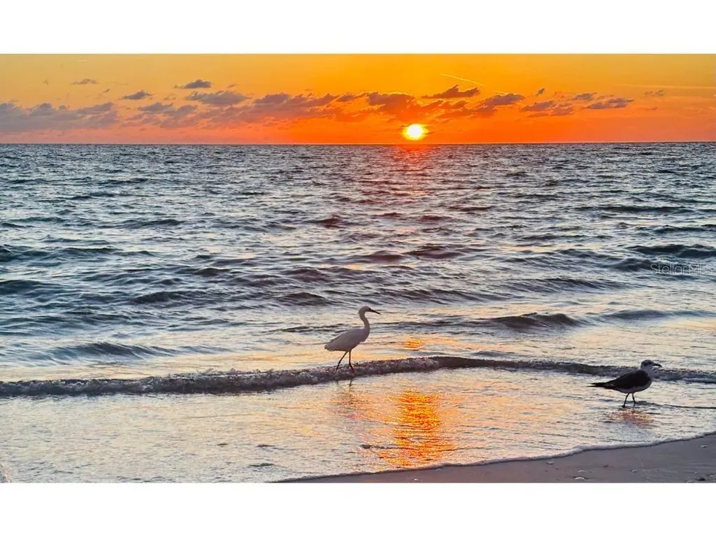 8306 Little Gasparilla Island Placida FL 33946