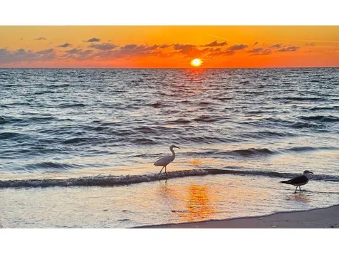 8306 Little Gasparilla Island Placida FL 33946