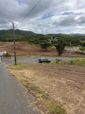 Coamo PR 00769