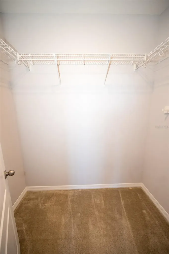 869 White Rose Way Oviedo FL 32765