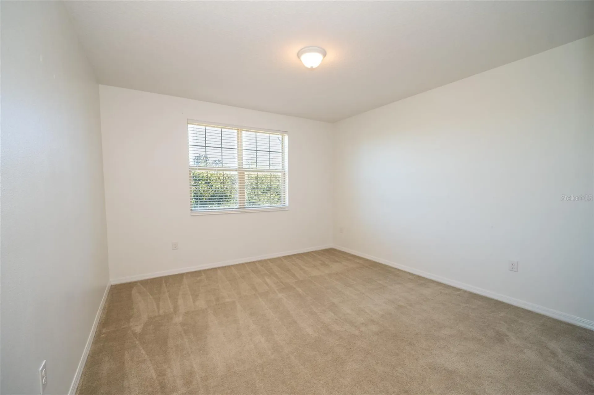 869 White Rose Way Oviedo FL 32765