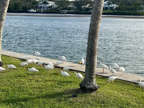 929 Casey Cove Drive Nokomis FL 34275