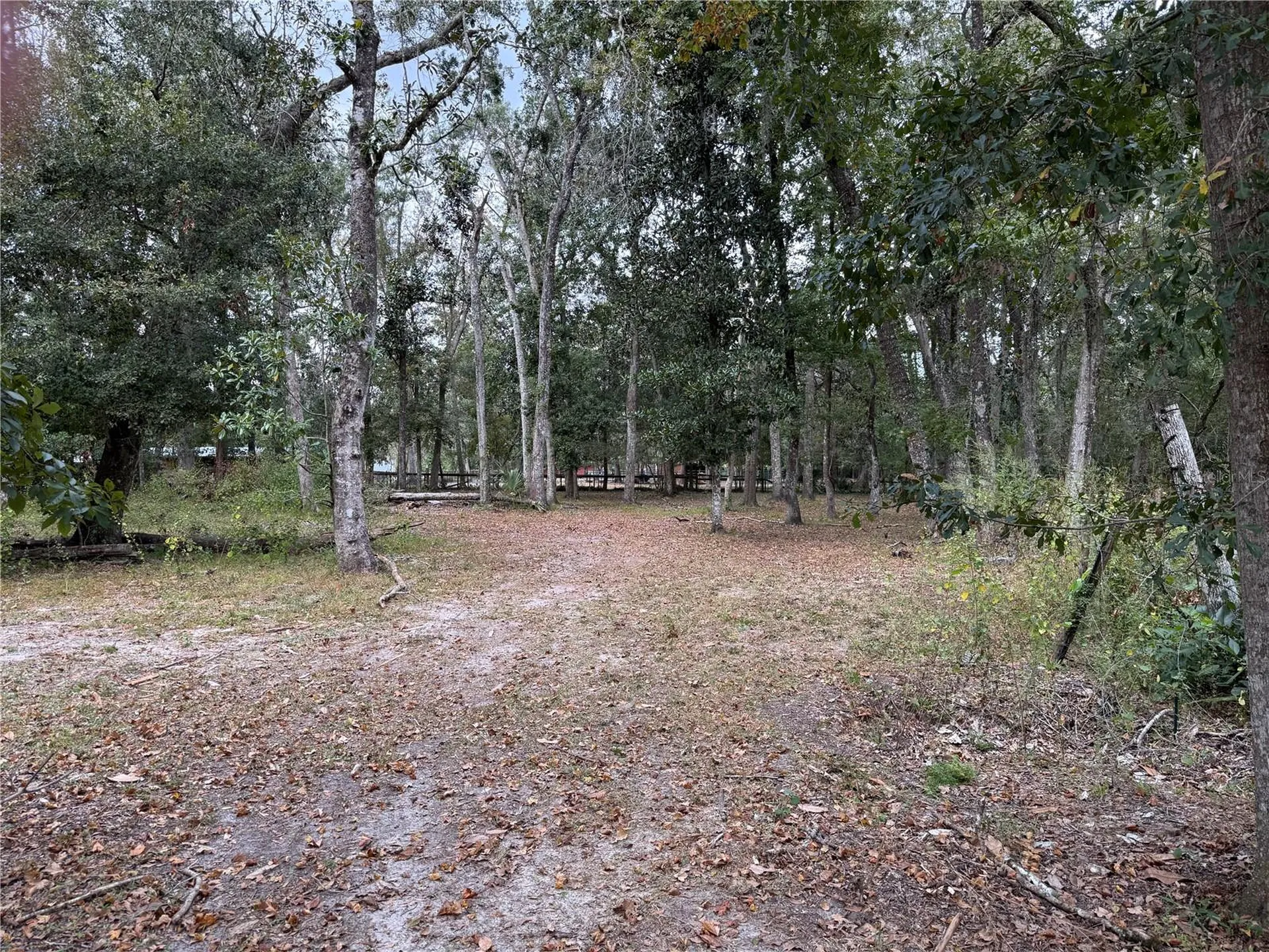 13517 Citrus Way Brooksville FL 34601