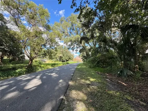 557 W Plant Street Winter Garden FL 34787