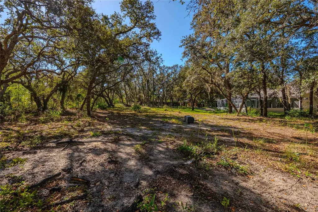 14214 Cinnaman Lane Weeki Wachee FL 34614