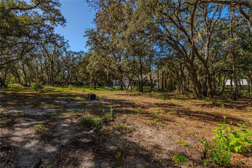 14214 Cinnaman Lane Weeki Wachee FL 34614
