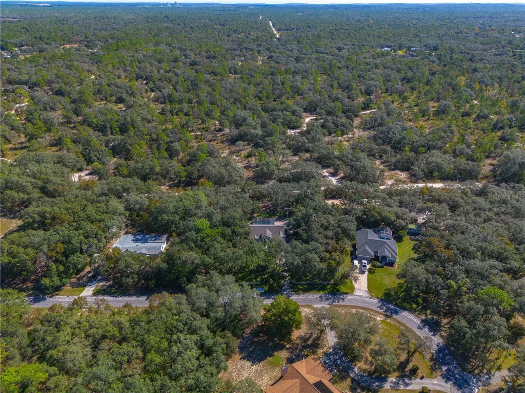 14214 Cinnaman Lane Weeki Wachee FL 34614