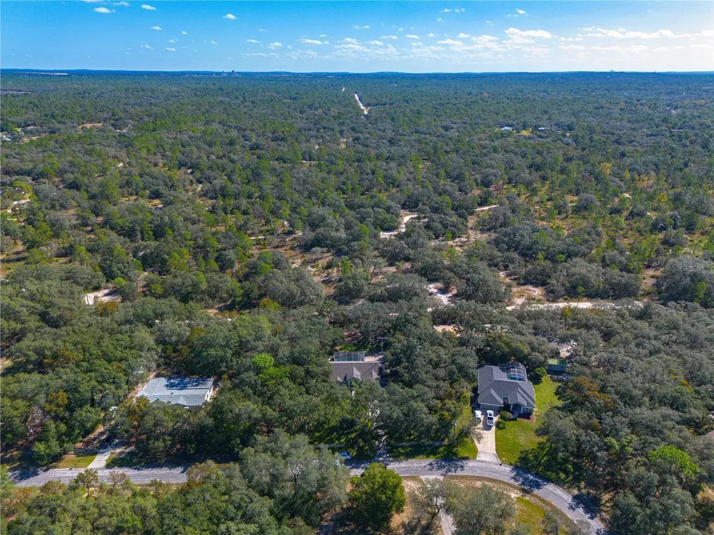 14214 Cinnaman Lane Weeki Wachee FL 34614