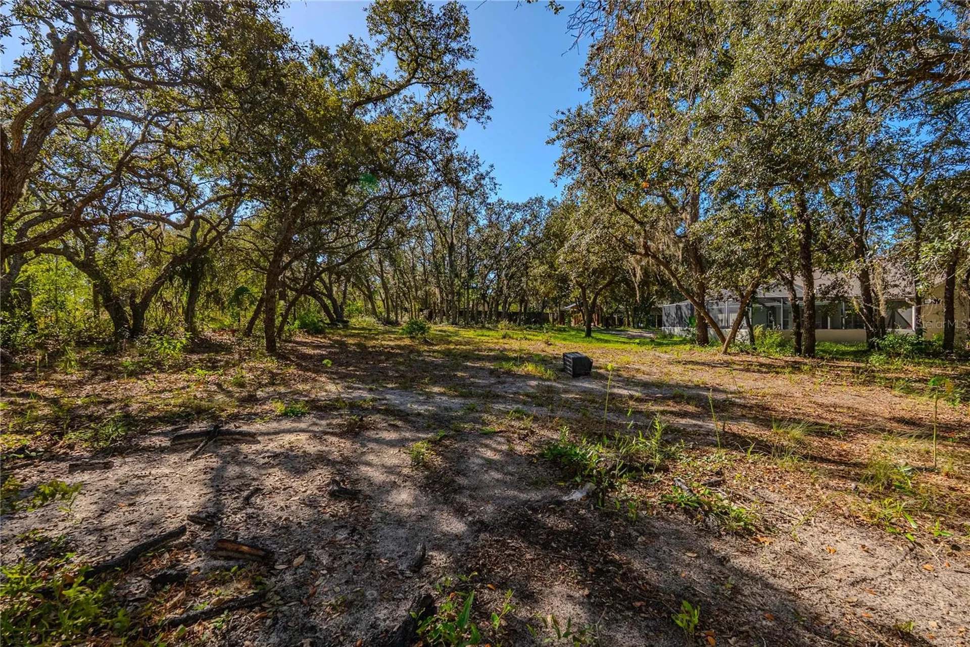 14214 Cinnaman Lane Weeki Wachee FL 34614