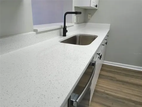 2307 Butterfly Palm Way Kissimmee FL 34747