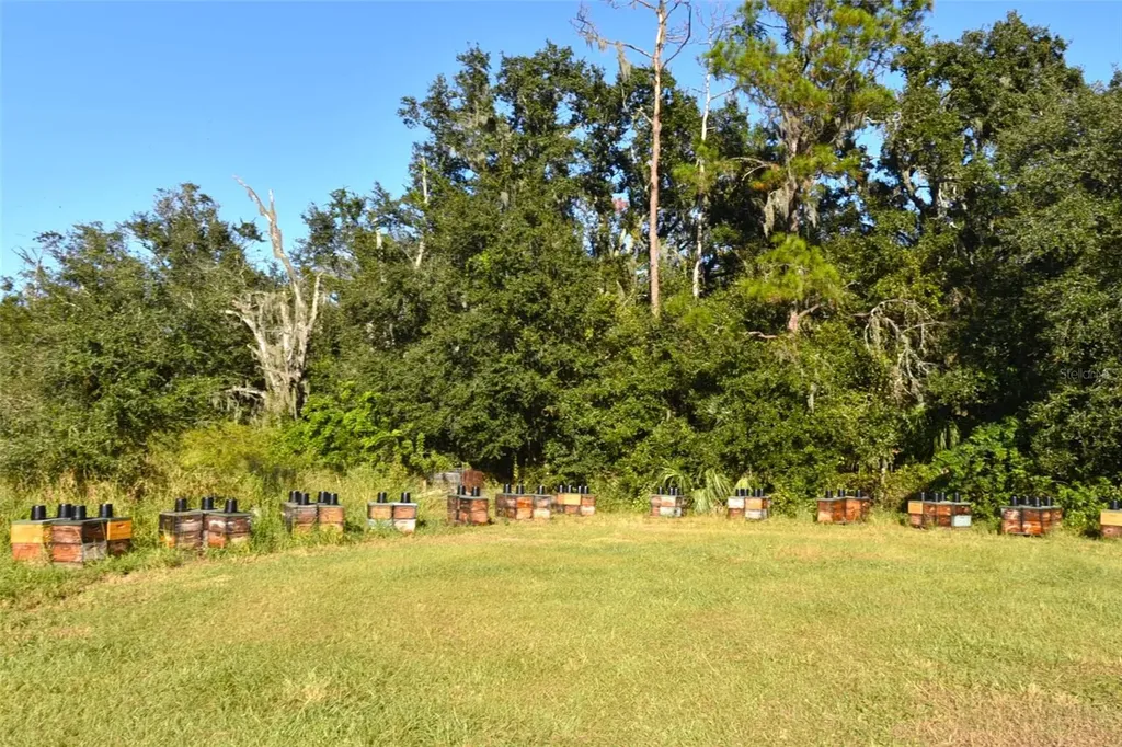 11542 Sumner Road Wimauma FL 33598
