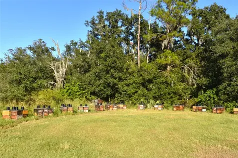 11542 Sumner Road Wimauma FL 33598