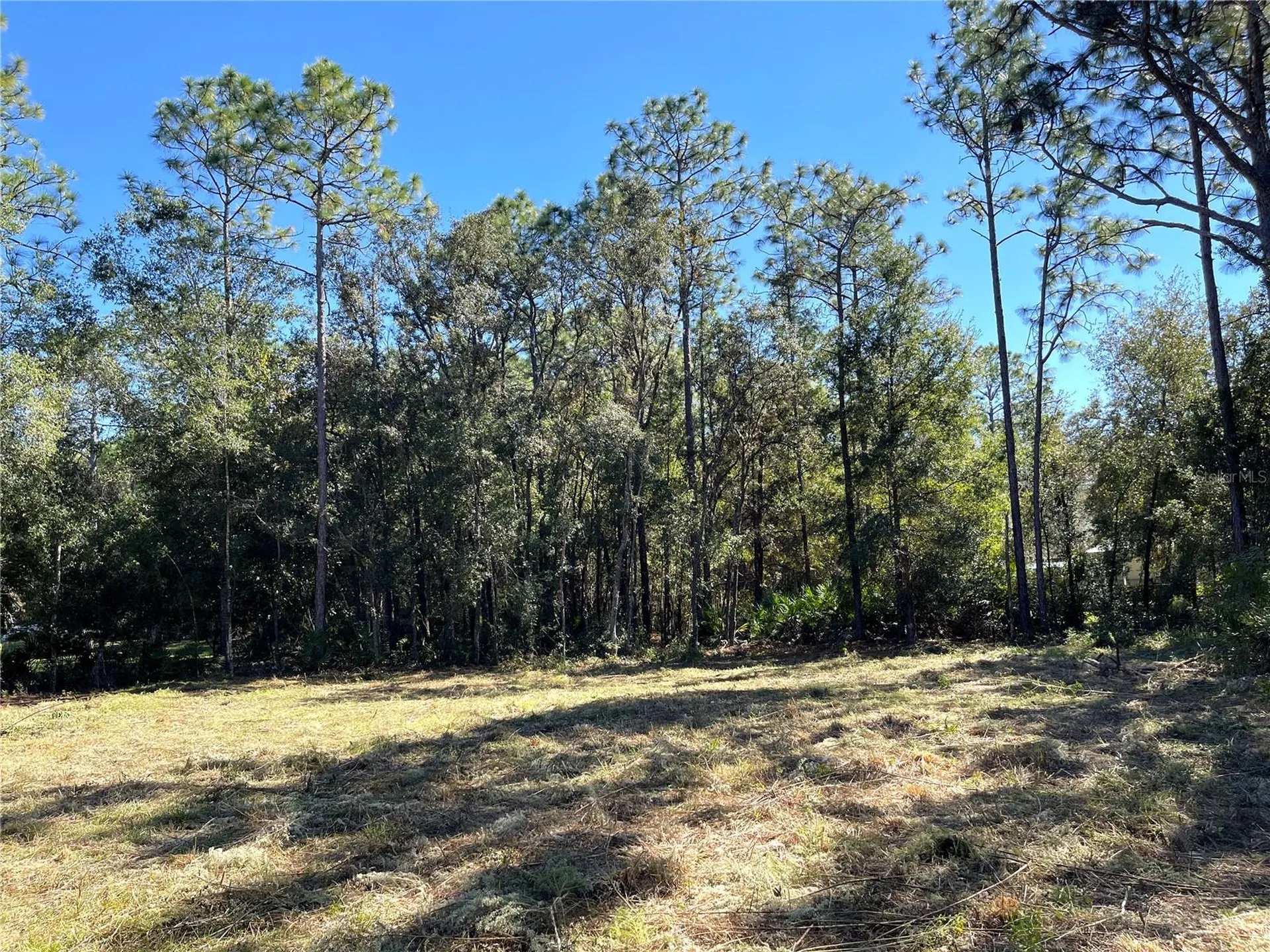 6712 W Macopin Lane Crystal River FL 34429