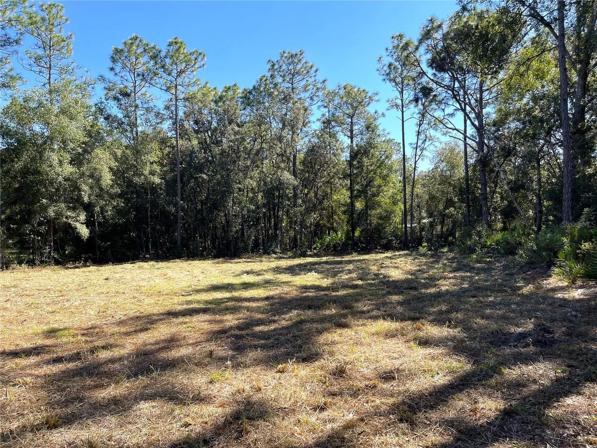 6712 W Macopin Lane Crystal River FL 34429