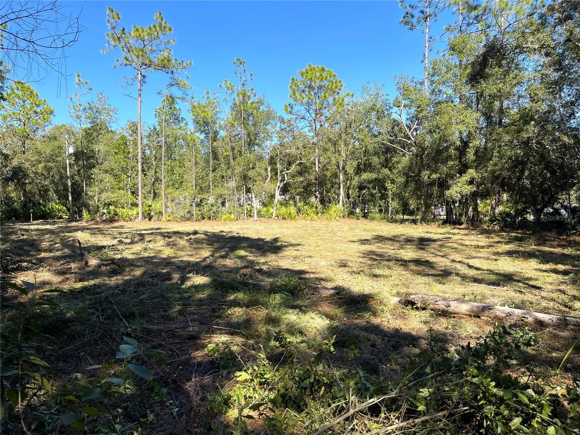6712 W Macopin Lane Crystal River FL 34429