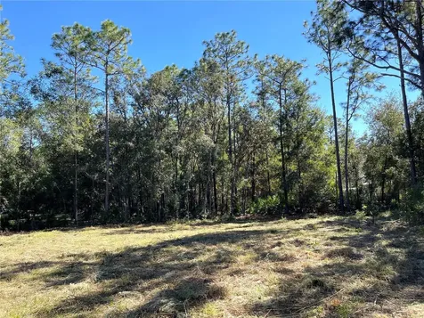 6712 W Macopin Lane Crystal River FL 34429