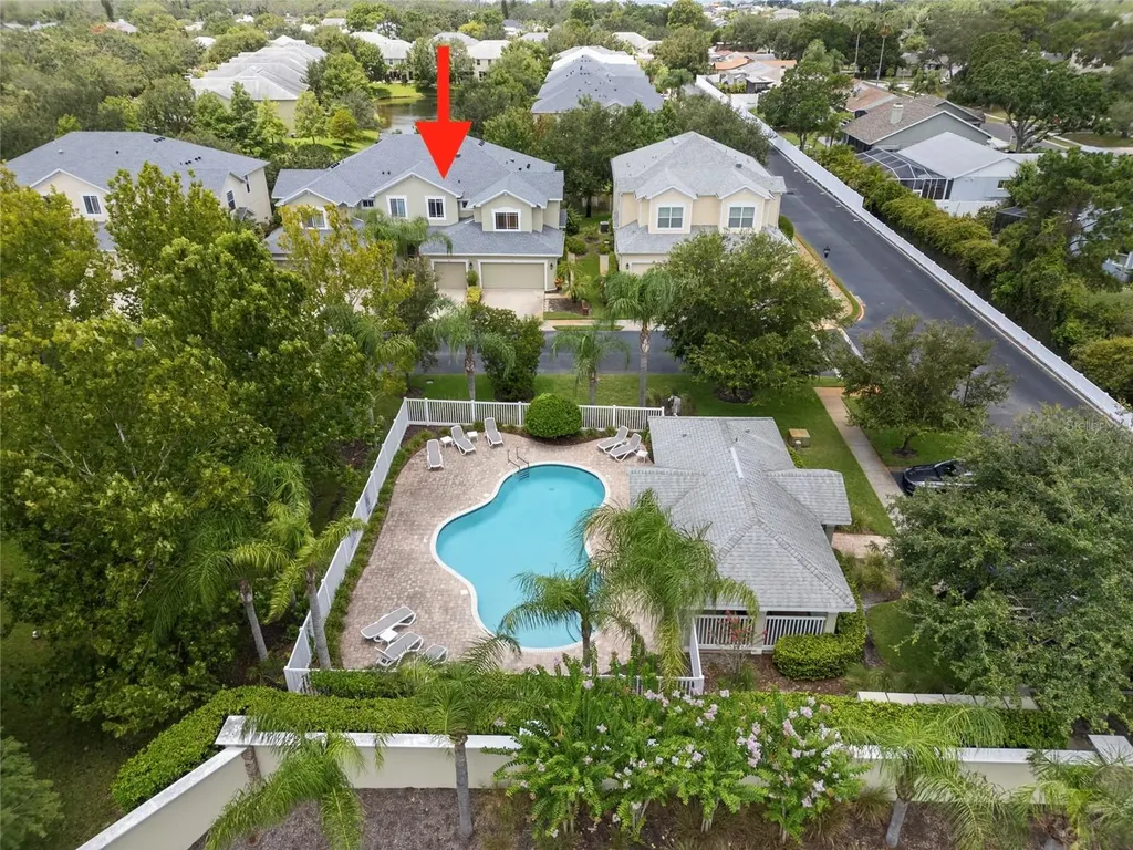 Palm Harbor FL 34683