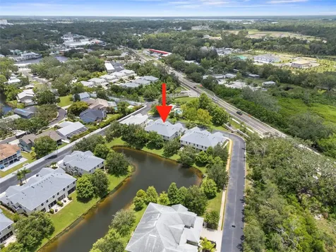 Palm Harbor FL 34683