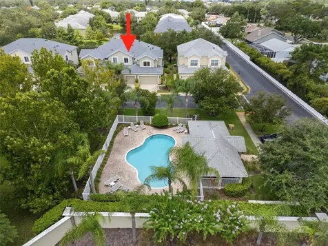 Palm Harbor FL 34683
