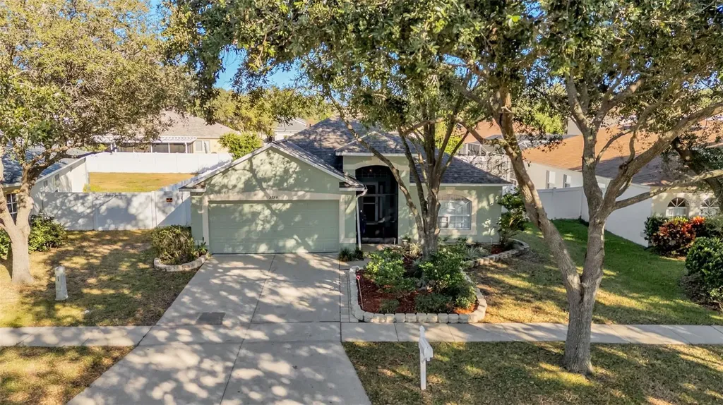 2729 Pankaw Lane Valrico FL 33596