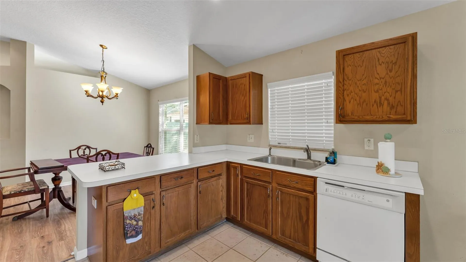 2729 Pankaw Lane Valrico FL 33596