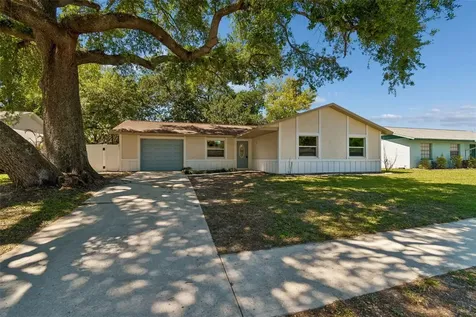 4028 Truman Drive Seffner FL 33584