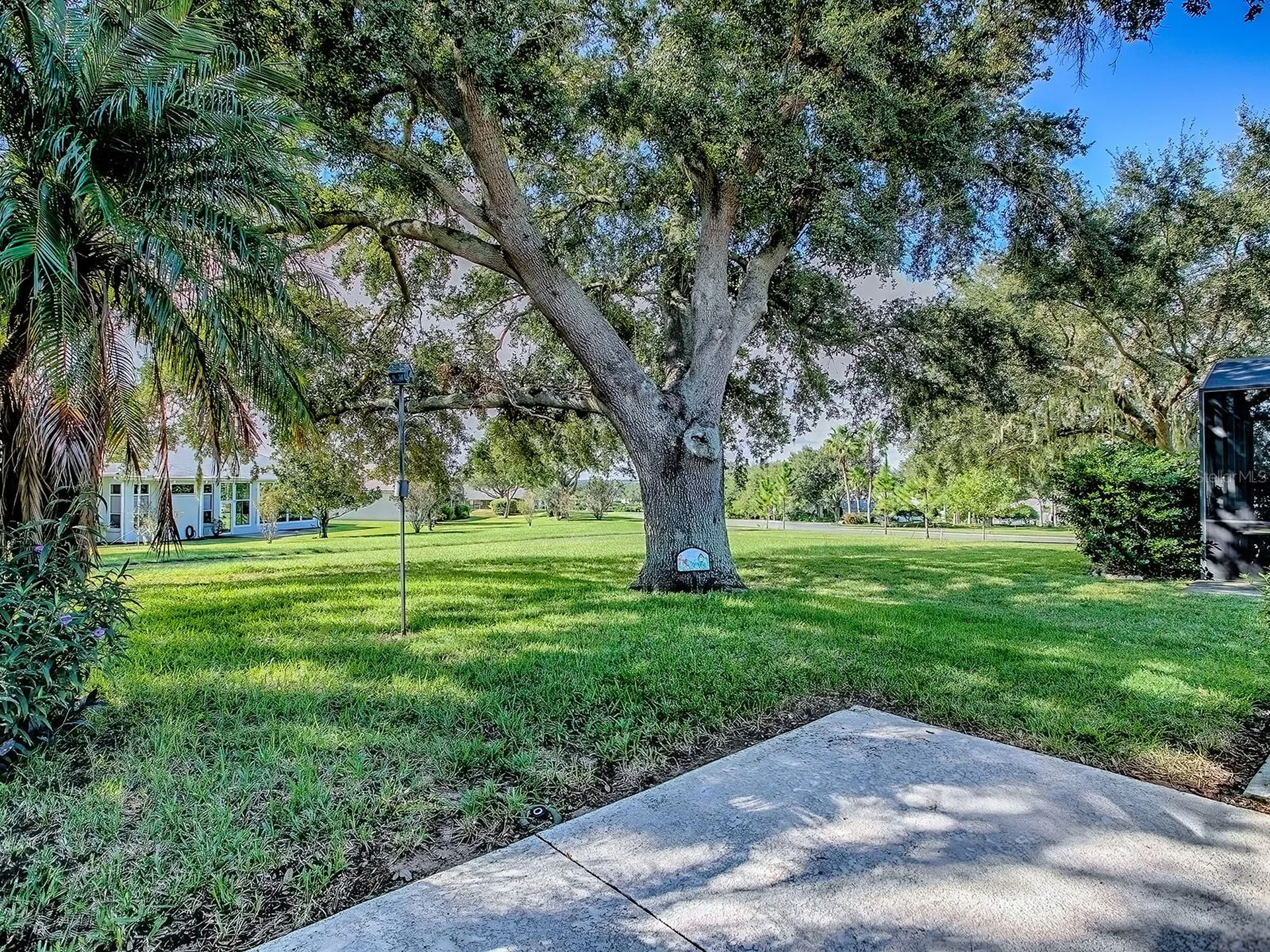 3592 Tropical Seas Loop Tavares FL 32778