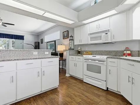 3592 Tropical Seas Loop Tavares FL 32778