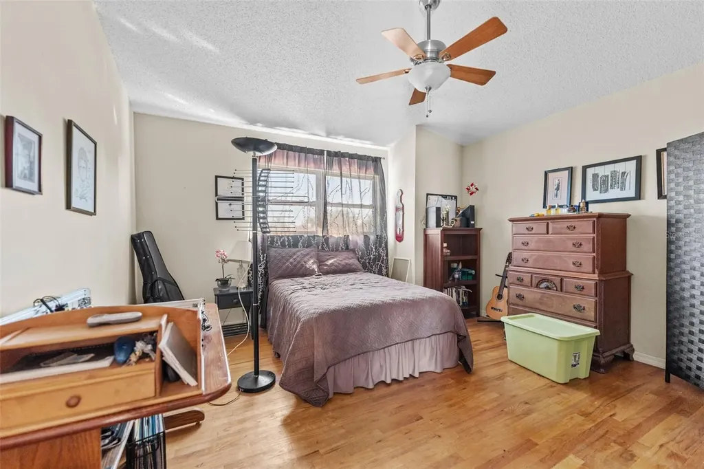 11429 Zenith Circle Tampa FL 33635
