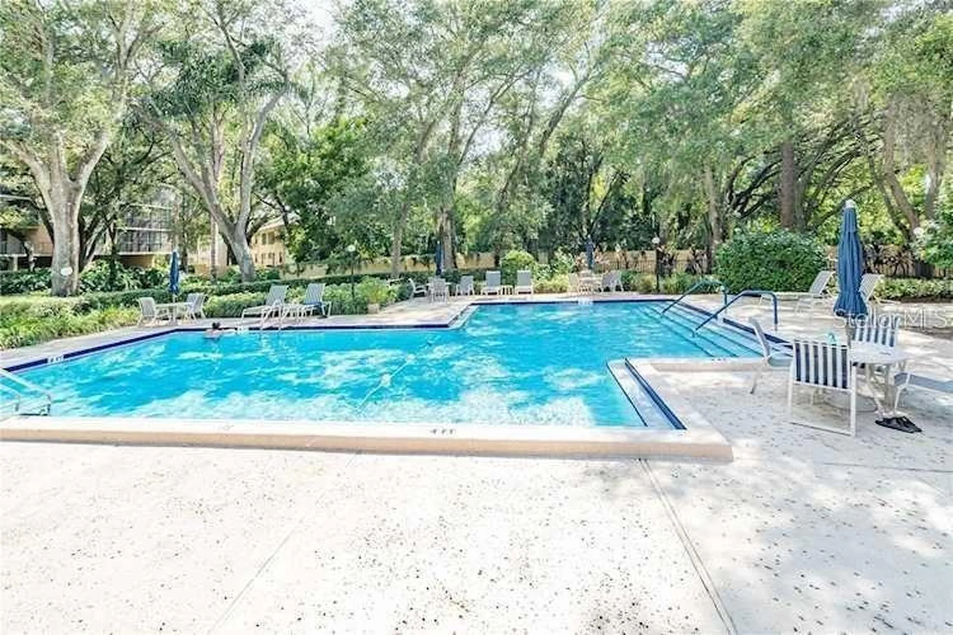 3078 Eastland Boulevard Clearwater FL 33761
