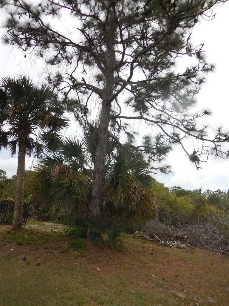 223 Jennifer Drive Rotonda West FL 33947