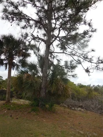 223 Jennifer Drive Rotonda West FL 33947