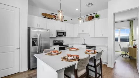 2507 Koji Street Mount Dora FL 32757