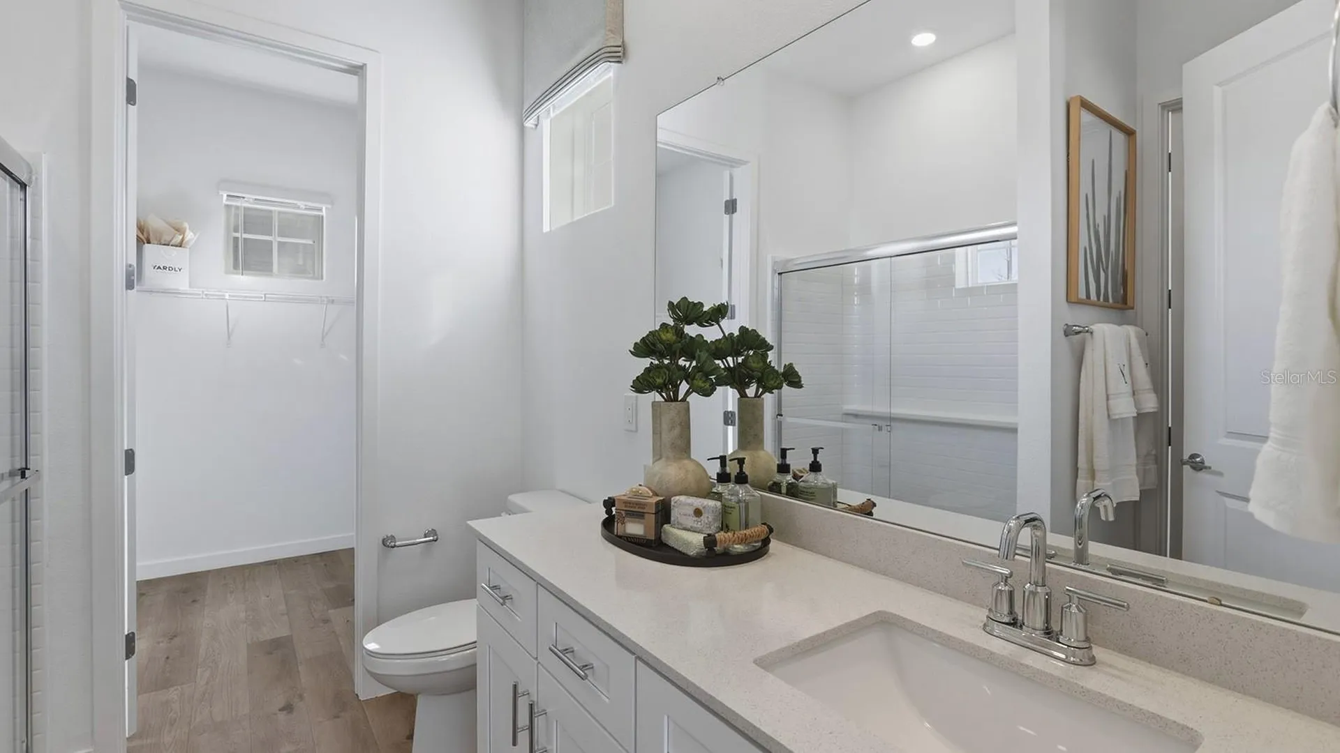 2507 Koji Street Mount Dora FL 32757